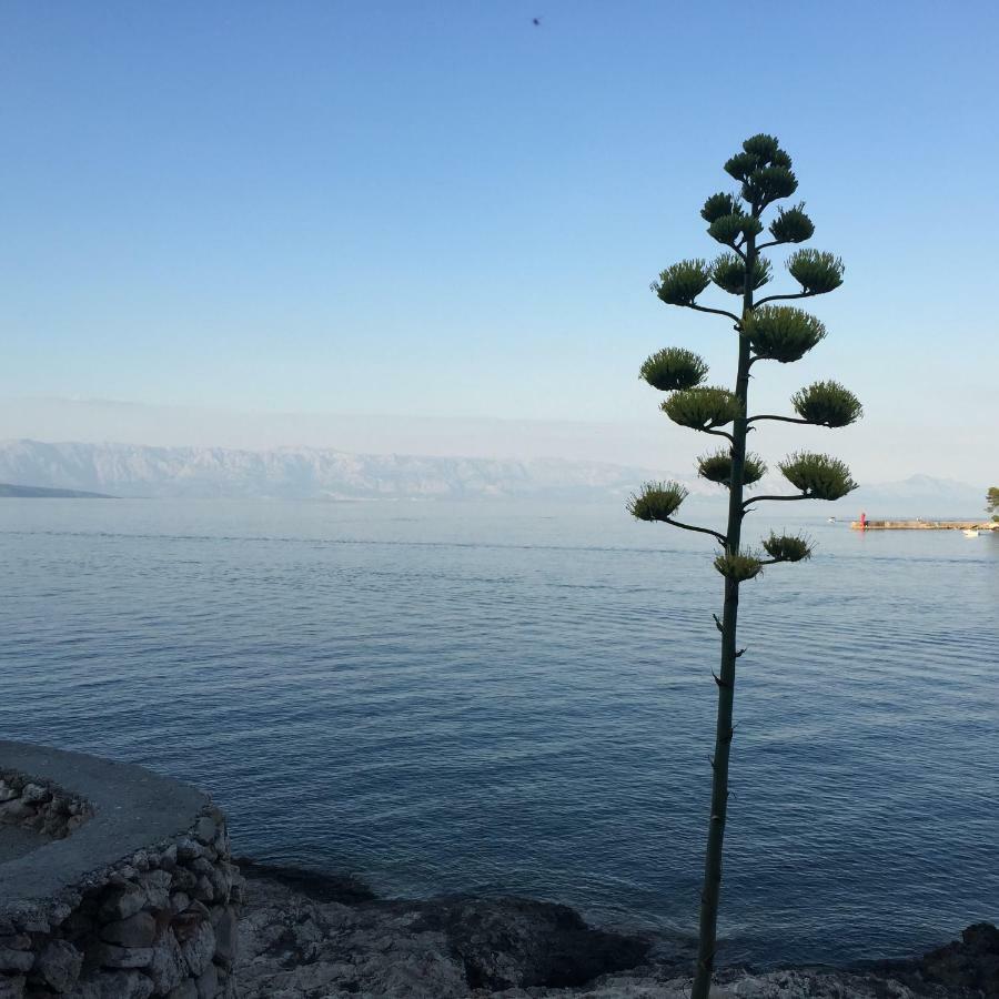 Hotel Vila Familia Hvar Vrboska Zewnętrze zdjęcie